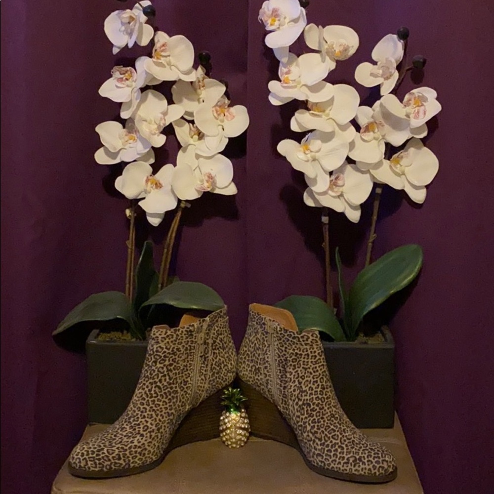 Lucky Brand Booties